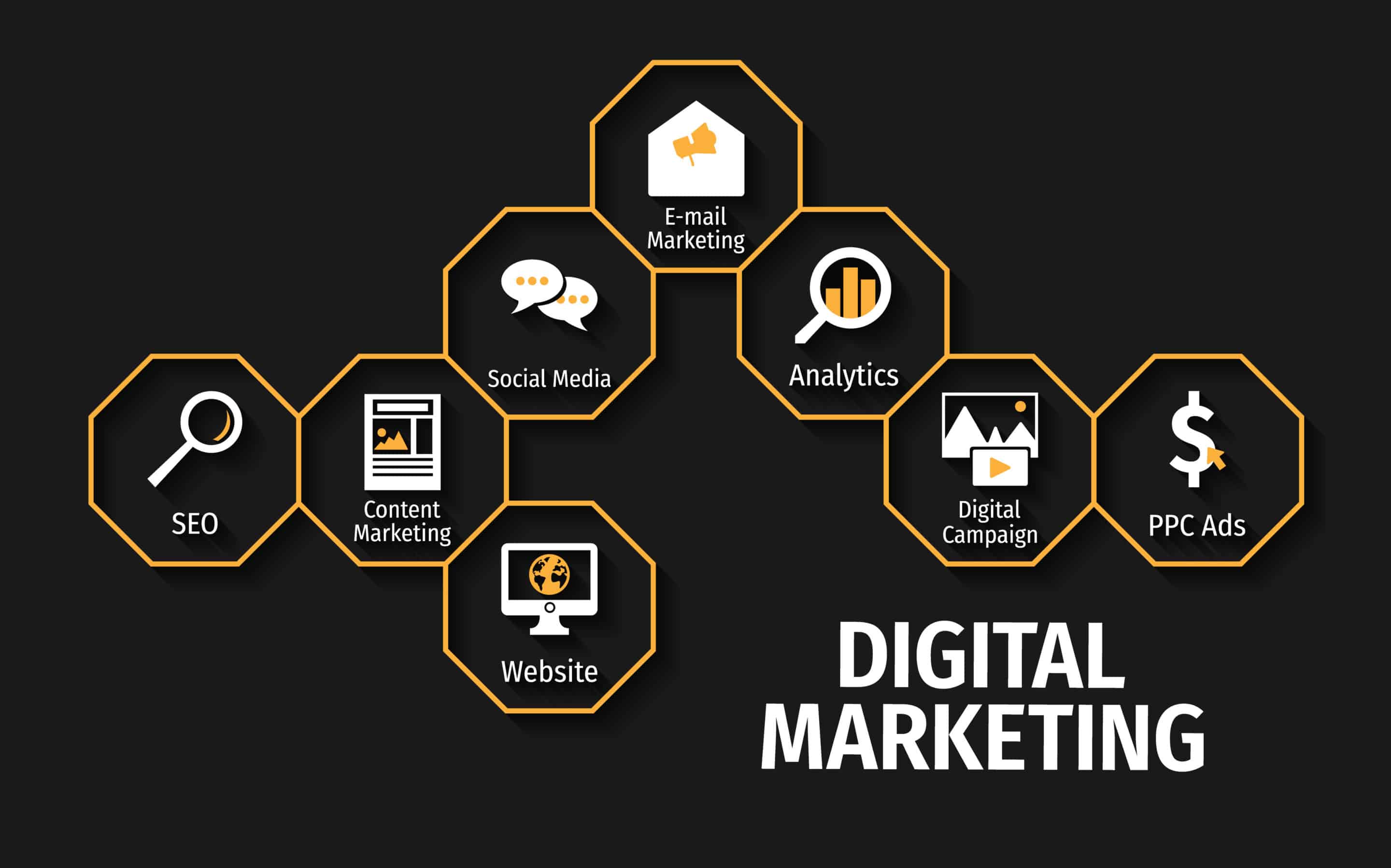Let VMD Services take your practice to the next level in digital marketing.